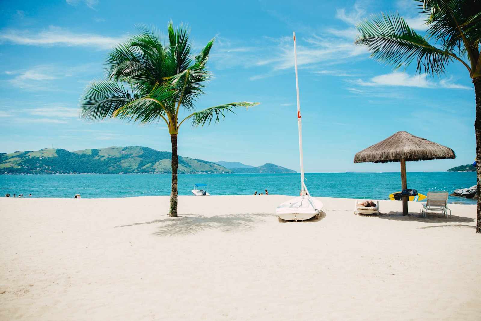 Tropical beach with palm trees at golden hour