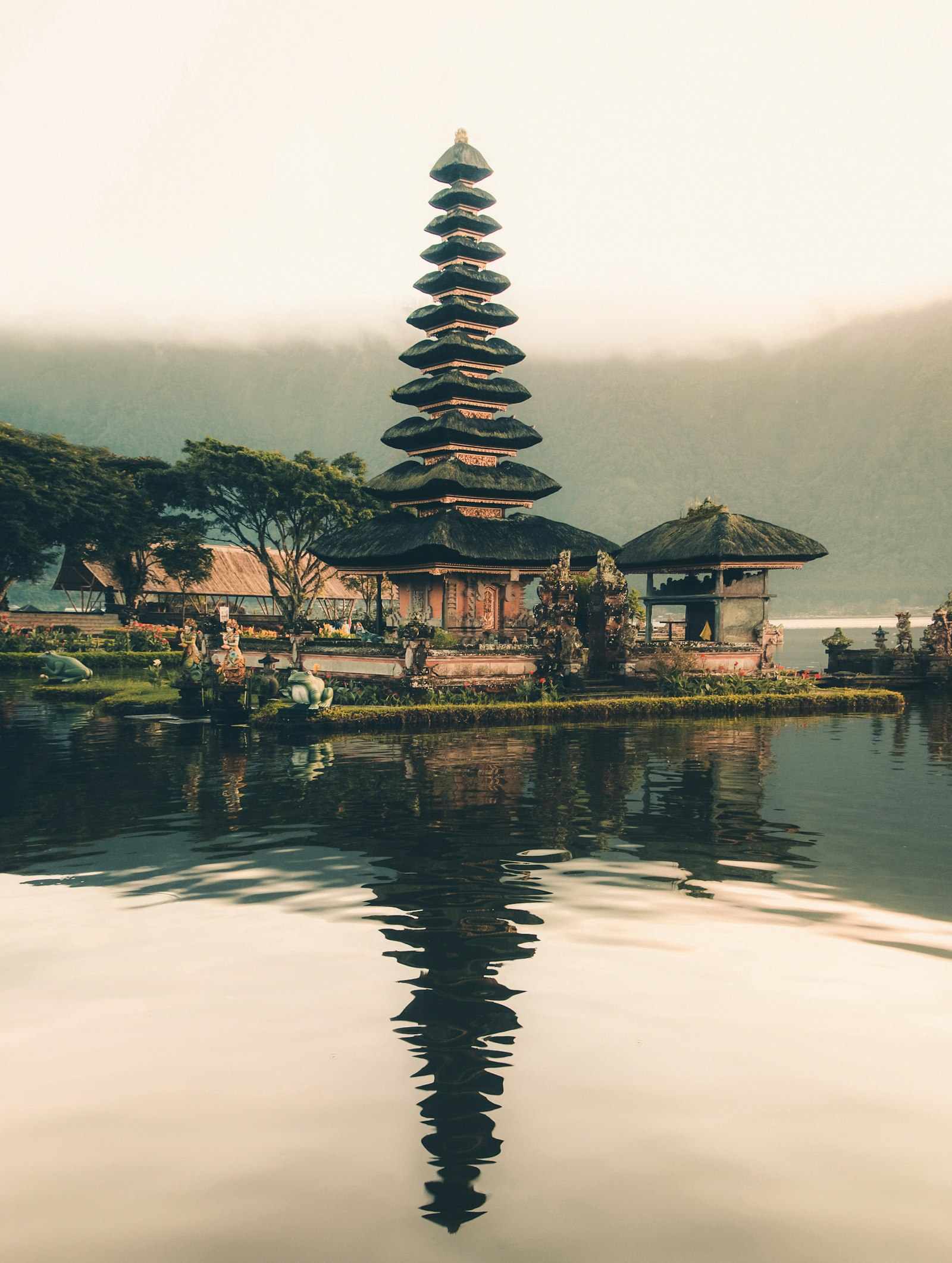 Tropical rice terraces and palm trees in Bali