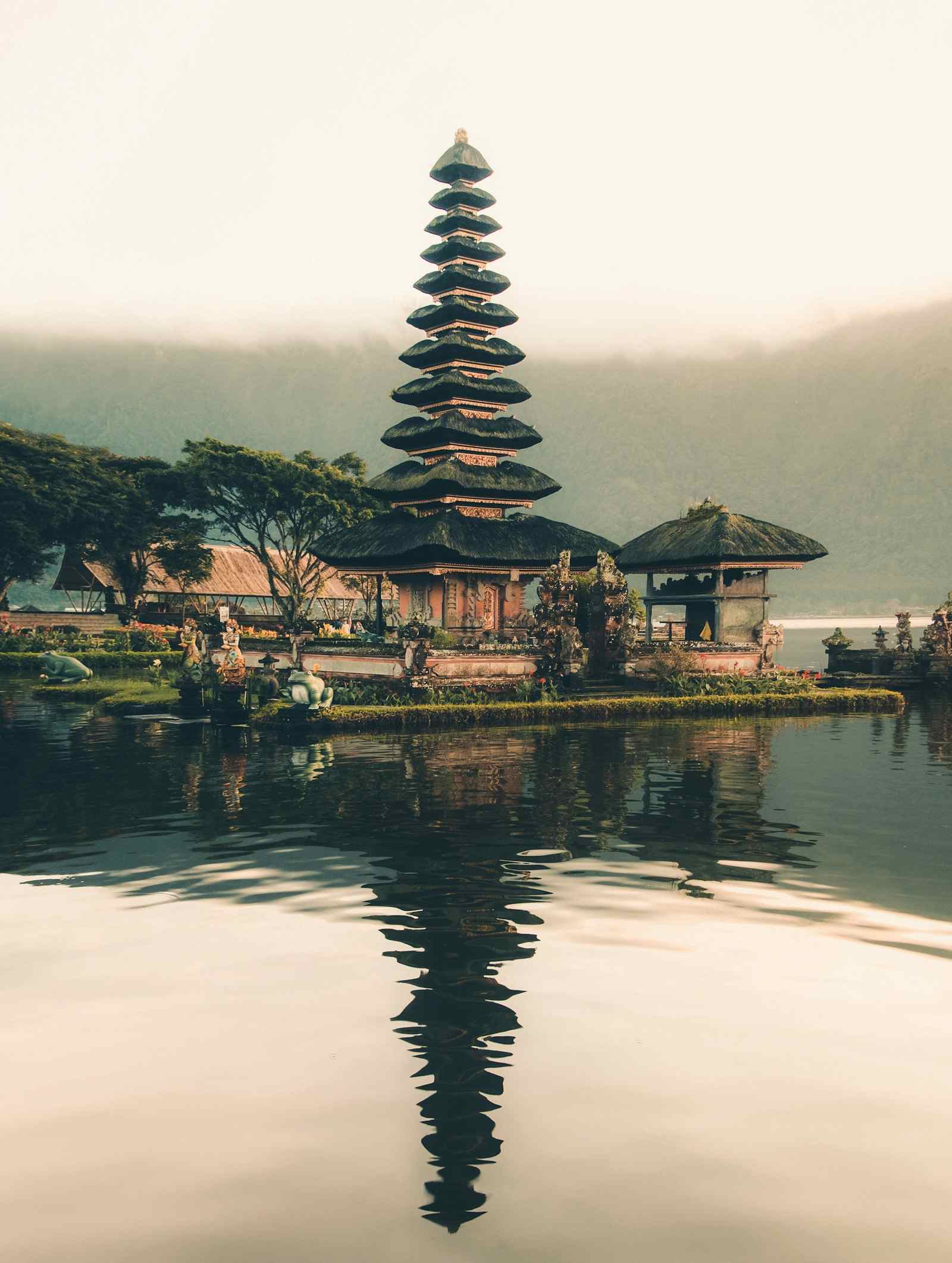 Tropical rice terraces and palm trees in Bali
